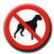 no_dog