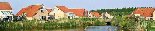 banner_001